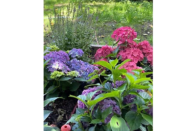 Great Granny´s Cottage