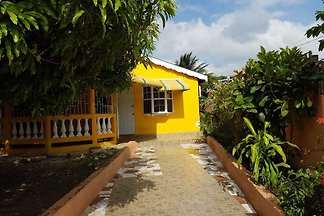 Montego Bay- "Live like a Local"
