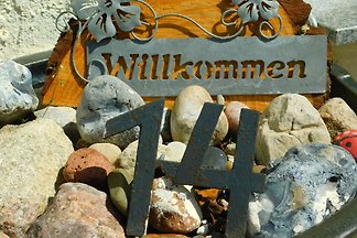 ALMA