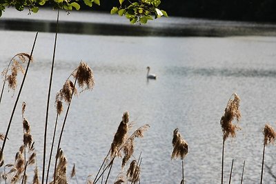 Recreatie aan het meer