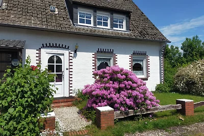 Ferienhaus am Dankernsee