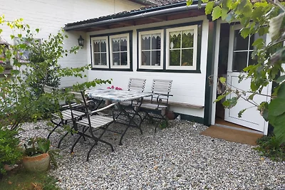 Ferienhaus am Dankernsee