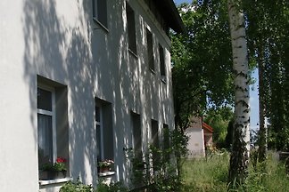Haus im Grünen in Dresden