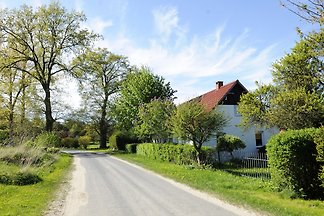 Niczonów 1