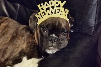 Nettes Häusle in Feriensiedlung