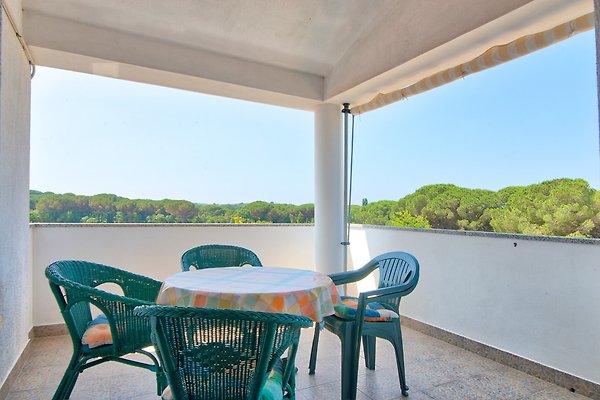 Ferienwohnung Fažana