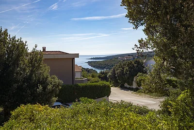 Villa Laura bei Duga Uvala