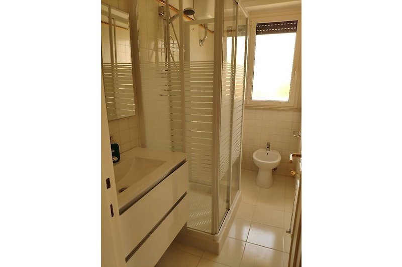 Elegante bagno con doccia moderna e finestra luminosa.