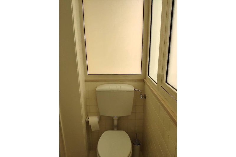 Bagno moderno con toilette viola e finestra luminosa.
