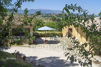 La Licina "Tartufo"