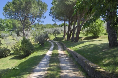 La Licina "Ginestra"