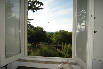 La Licina "Ginestra"