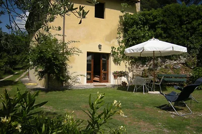 La Licina "Ginestra"