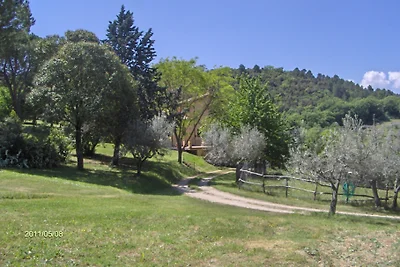 La Licina "Ginestra"