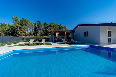 Lovely modern villa with private pool near Vela Luka