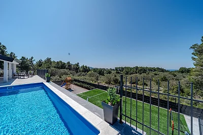 Lovely modern villa with private pool near Vela Luka