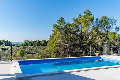 Lovely modern villa with private pool near Vela Luka