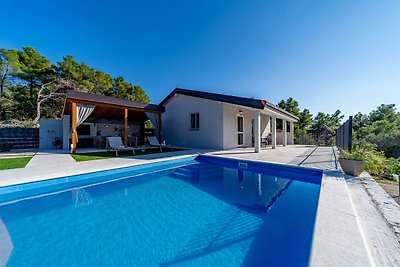 Lovely modern villa with private pool near Vela Luka