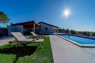 Lovely modern villa with private pool near Vela Luka