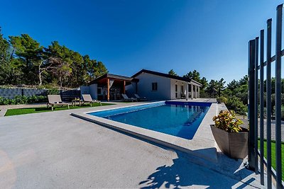 Lovely modern villa with private pool near Vela Luka