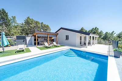 Lovely modern villa with private pool near Vela Luka
