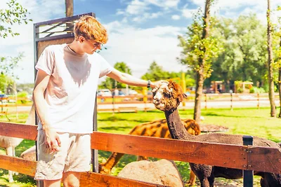 Baltic Natur Park - Holiday Resort