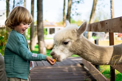 Baltic Natur Park - Holiday Resort
