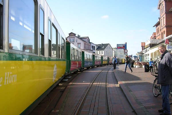 Borkum fur singles