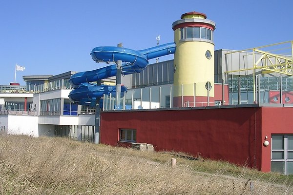 Borkum fur singles