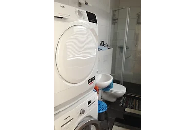 Fiore di mare in Casa Vacanze Elfi