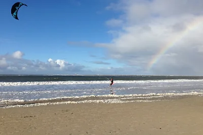 Fiore di mare in Casa Vacanze Elfi