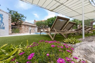 Villa Ljuba Vi