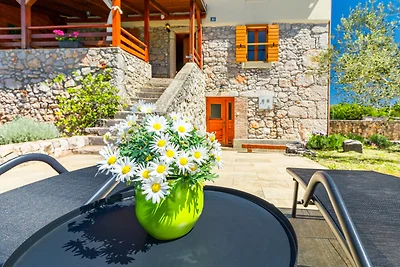 Villa Dorina