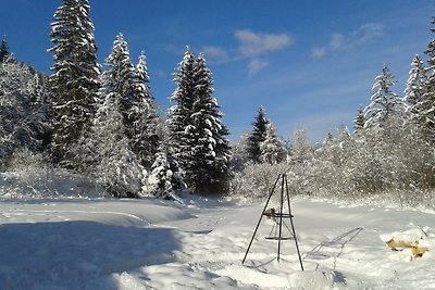 Ferienparadies Wiesenbauer