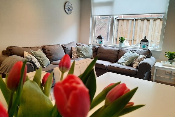 Ferienhaus Egmond aan Zee