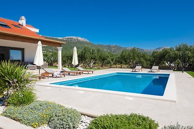 Villa Cvita mit großem Pool - Split