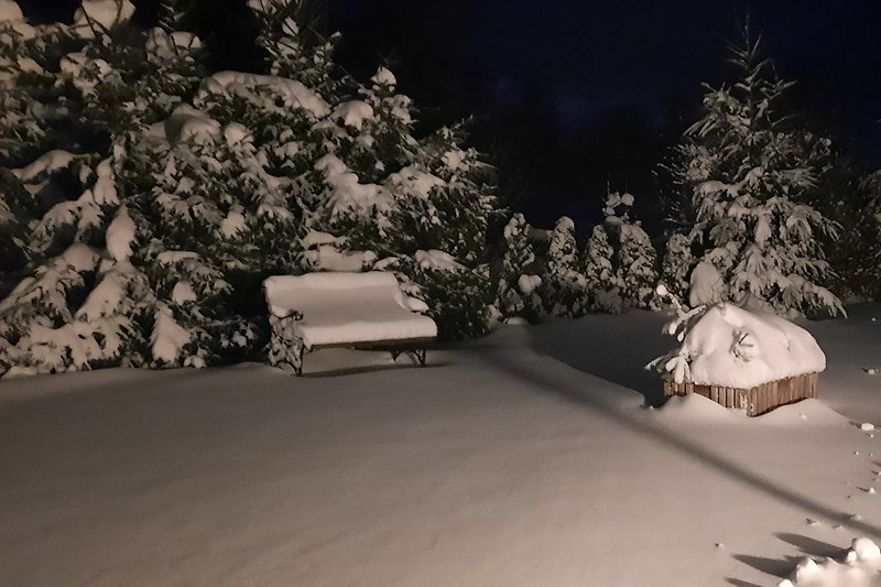 Winterlandschaft mit verschneitem Baum und frostiger Nacht.