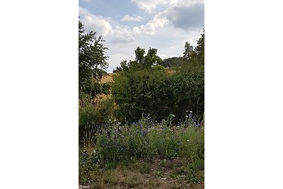 Harz-Bungalow