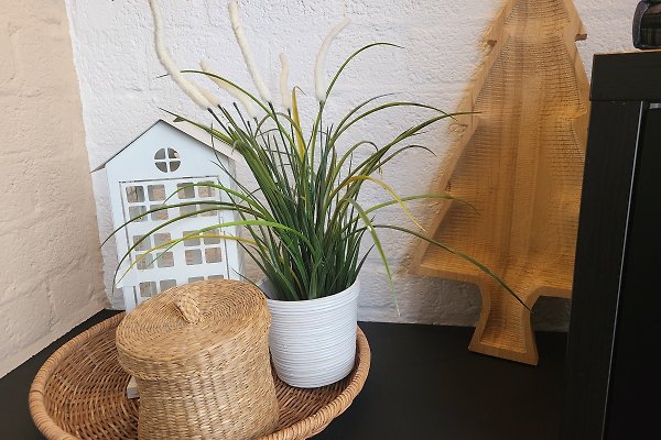 Ferienhaus Bruinisse
