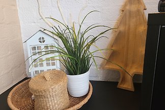 Ferienhaus für Hunde geeignet