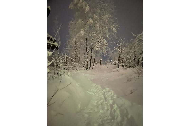 Aktuelle Winterlandschaft mit verschneiten Bäumen und frostiger Atmosphäre im Oberharz.