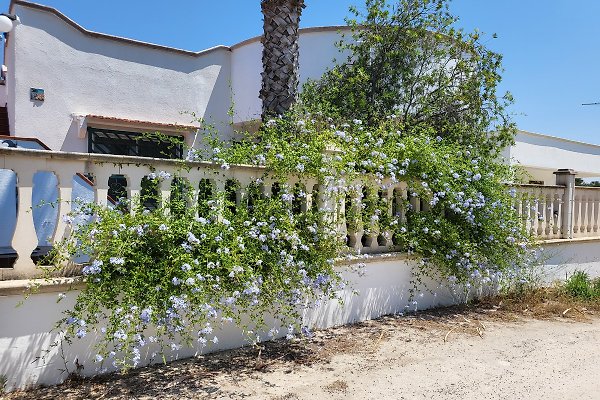 Ferienhaus San Pietro in Bevagna