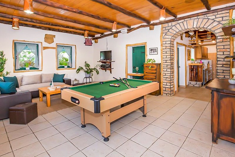Equipped recreation area with swimming pool, billiards and darts.