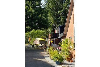 Ferienwohnung Pfitzmann
