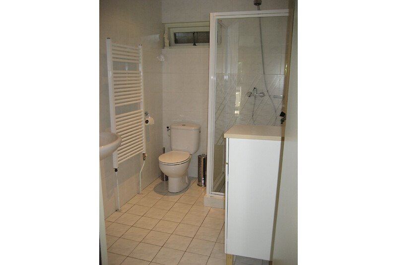 Badkamer met wastafel,toilet en douche.