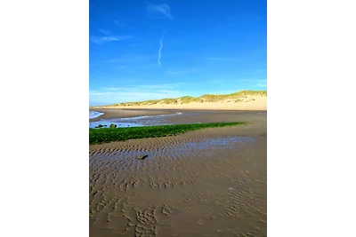 Watermunt 25