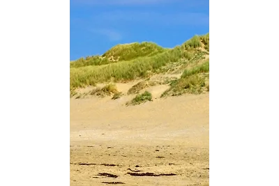 Watermunt 25