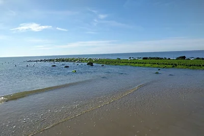 Watermunt 25