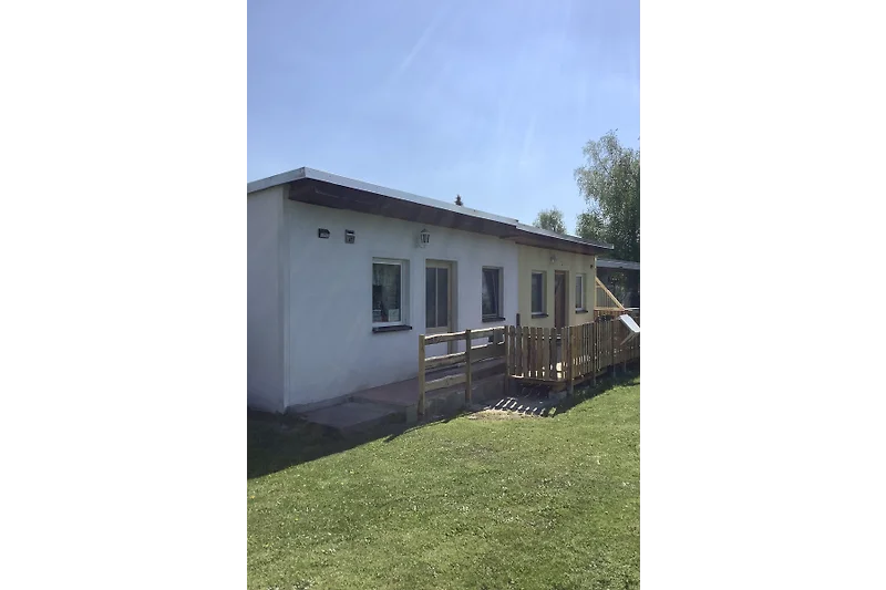 Grüner Garten mit sonnigem Rasen und einladendem Hinterhof.