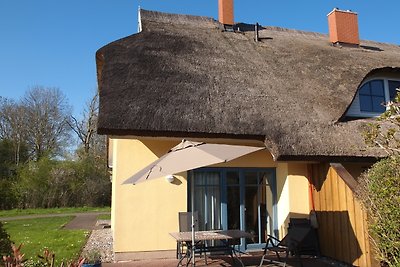 Lichtovergoten rieten huis